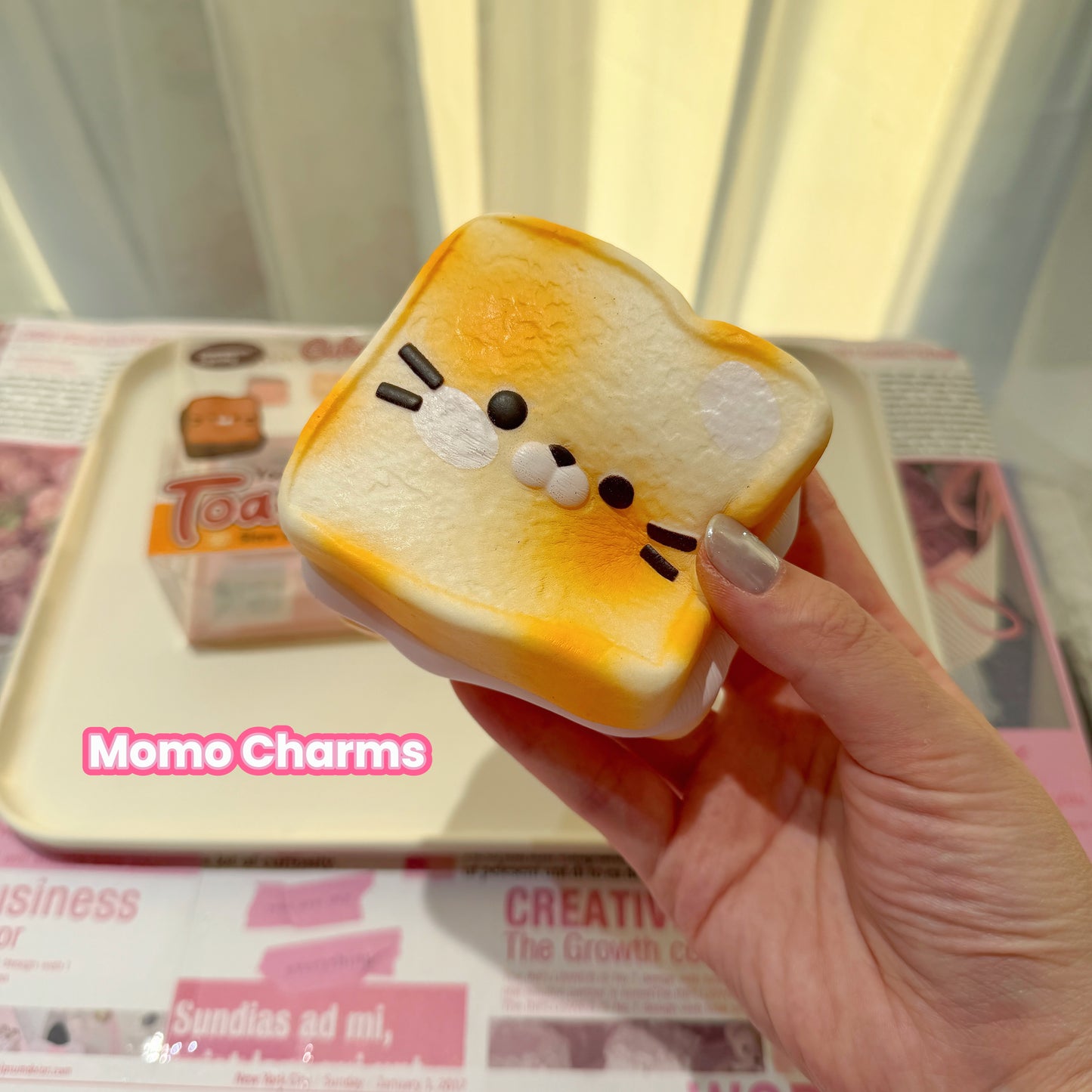 Puppy Toast Slow-rise Squishy