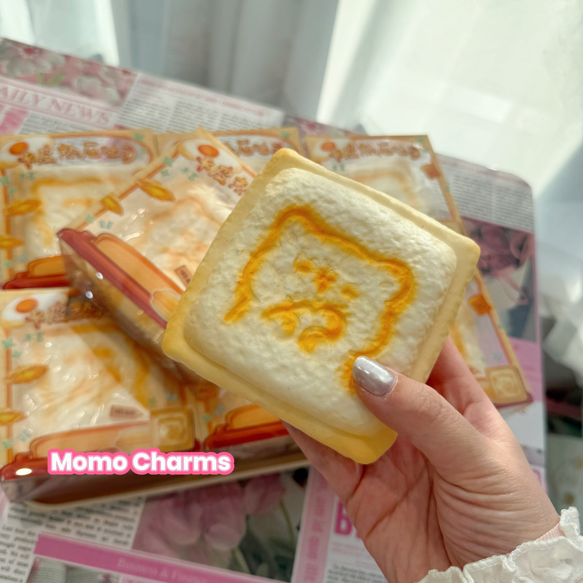Bear Toast Slow-rise Squishy